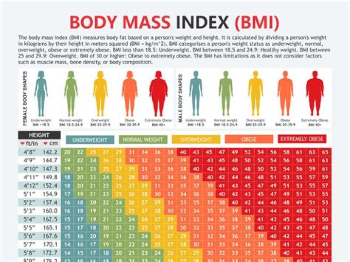 150cm 52kgは標準体重？BMI・見た目・健康の目安をわかりやすく解説