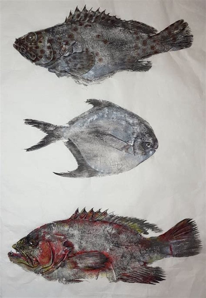 タビロック ブログ 魚拓とは何か　削除記事を追う前に知るべきこと